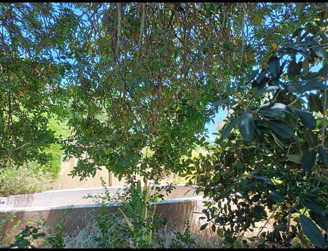 LAND FOR SALE IN DARLING